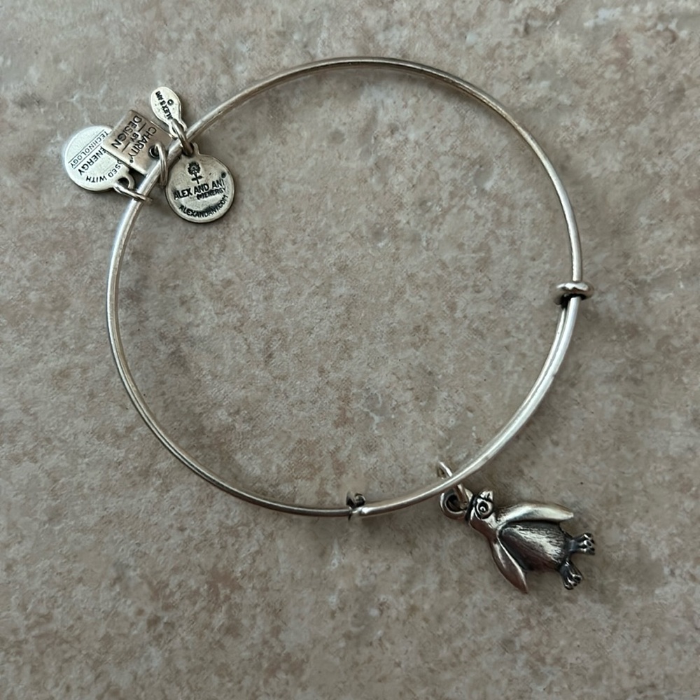 Alex and Ani Bangle